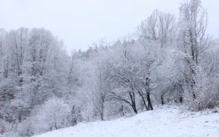 Teren de vanzare I izvor apă minerală  Dangești I 2 Hectare - Poză 12