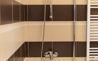 Casa 5 Camere, 2 Bai, 1900 mp Teren, Zona Oarda - Poză 12