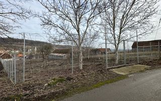 Teren intravilan de vânzare în sat Alămor, comuna Loamneș, județul Sibiu - Poză 9