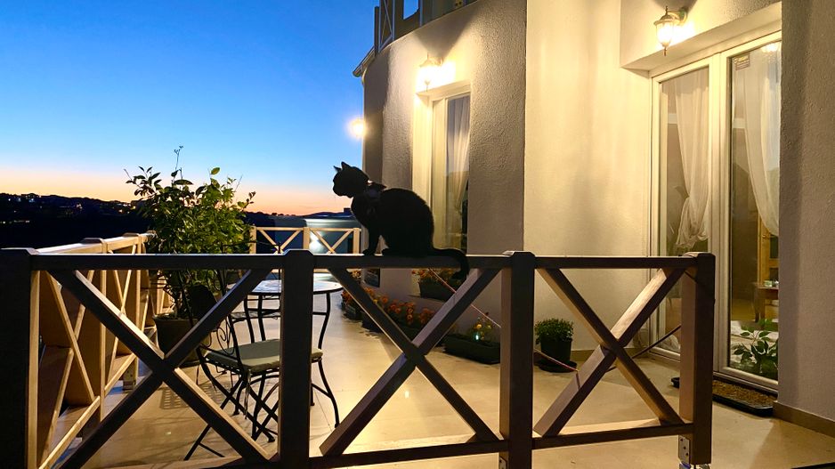 Casă în Borhanci – atmosferă de vacanță și apartament independent - Poză 3