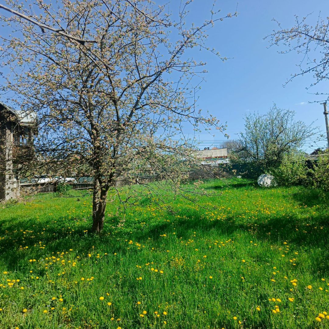 Teren intravilan Corlata/Suceava - Poză 3