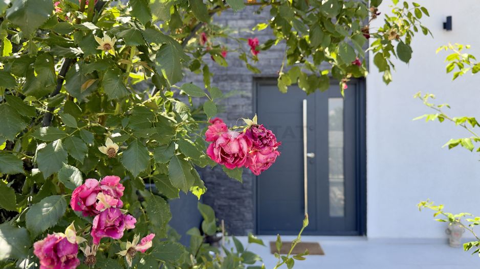 Vila 4 camere, curte amenajata | Strada Petre Ispirescu - Poză 35