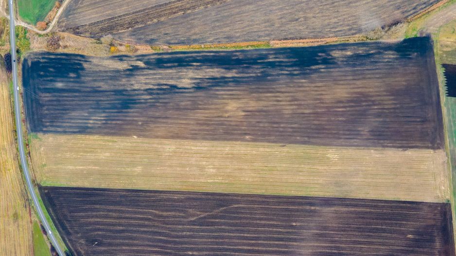 Teren Sânpaul lângă șosea - Poză 3