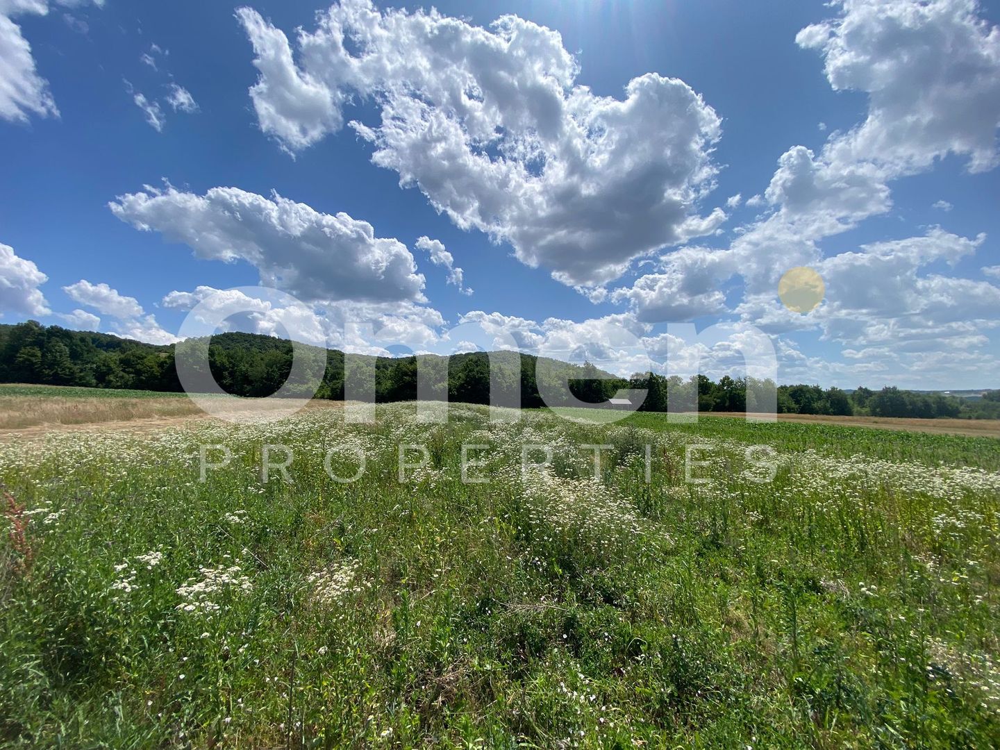 Teren de vanzare in Coas, zona linistita - Poză 3