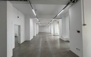 Spatiu Comercial | 261 mp | 20m Vitrina | Tineretului | Parc Carol - Poză 5