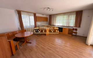 Casă de vânzare Ds+P+1E+M, situată pe Strada Alexandru cel Bun. - Poză 3