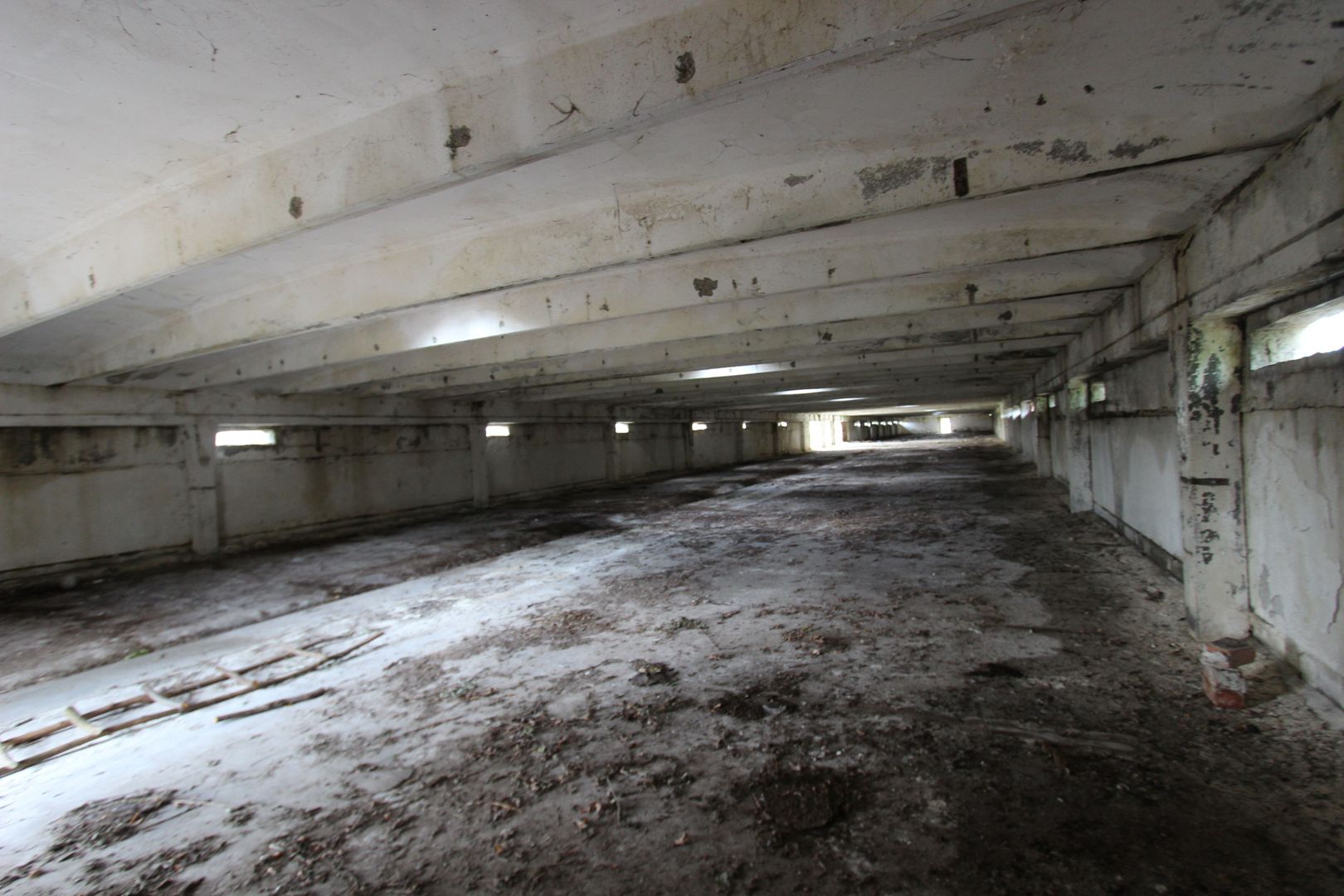 Vanzare hale Mosnita Noua-fosta Ferma 7 - Poză 27