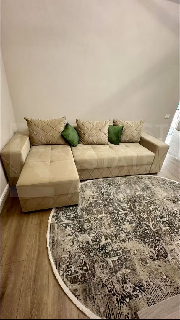 Chirie, apartament, 50 mp, strada Nicolae Anestiade, Centru - Poză 6