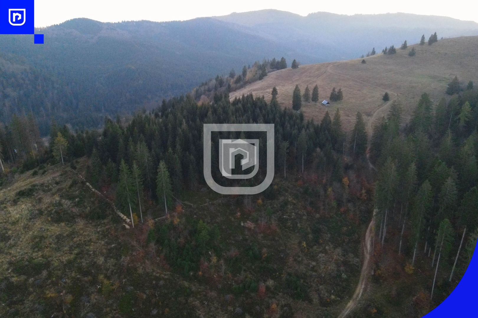 Teren situat in Frasin | BUCOVINA - Poză 6