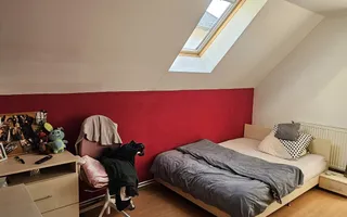 Casă / Vilă cu 8 camere de vânzare în Manastur, Cluj-Napoca - Poză 35