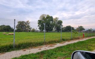 Oportunitate de investitie, posibilitate parcelare, 12.000 MP, Sebes - Poză 4