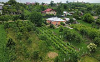 Casă renovată, teren 3.200 mp cu livadă și vie – Comuna Popești, sat Obrijeni, județul Iași - Poză 7