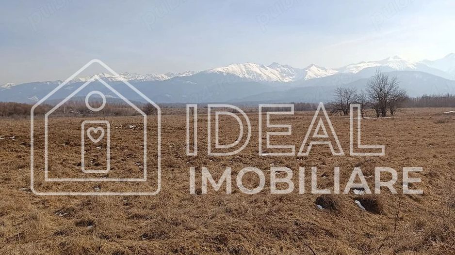 Teren 25.500 mp Valea Avrigului - Poză 3