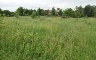 Teren Buftea cu iesire la lac - Poză 26