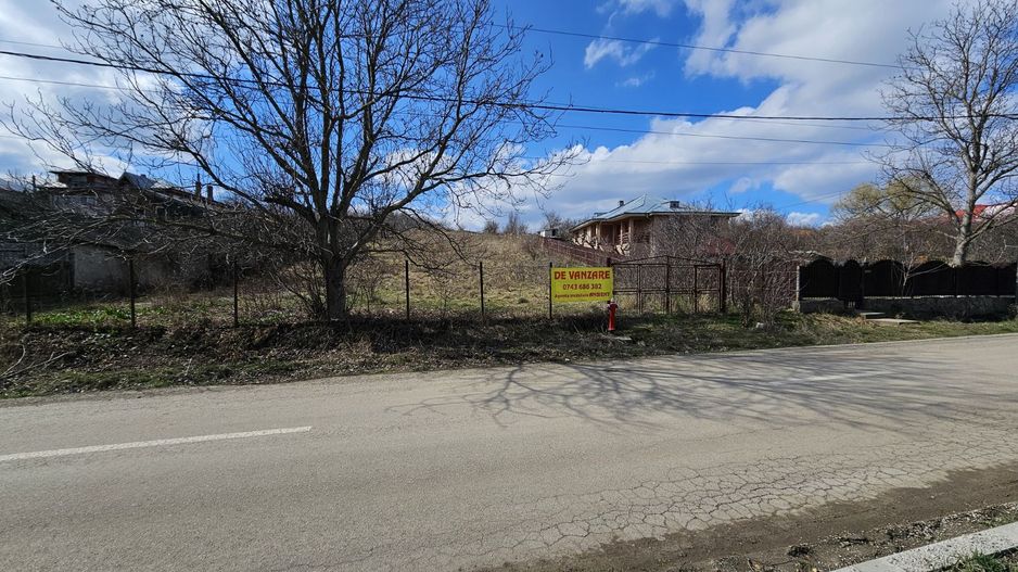 INVESTIȚIE - Teren 7.500 mp, intravilan + extravilan, str. CASTANILOR; - Poză 3