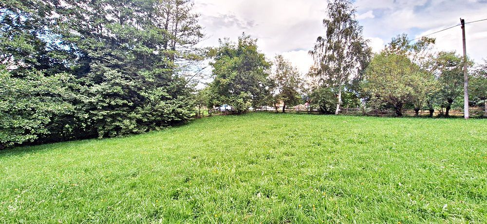 Bran Predelut teren intravilan de 2000mp, pret 27 euro/mp - Poză 7