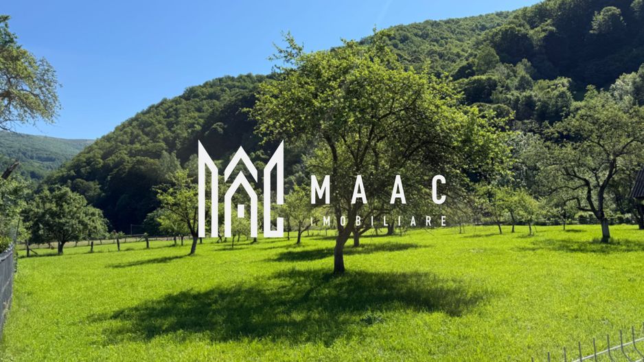 Teren Intravilan | 3050 Mp | Ieșire la Râu | Râul Sadului - Poză 8