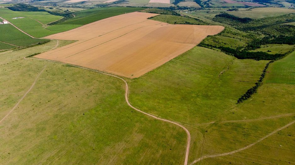 Teren arabil de 1771 hectare în Dolj - Poză 4