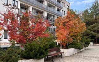 Studio Premium Erou Iancu Nicolae Pipera - Poză 11