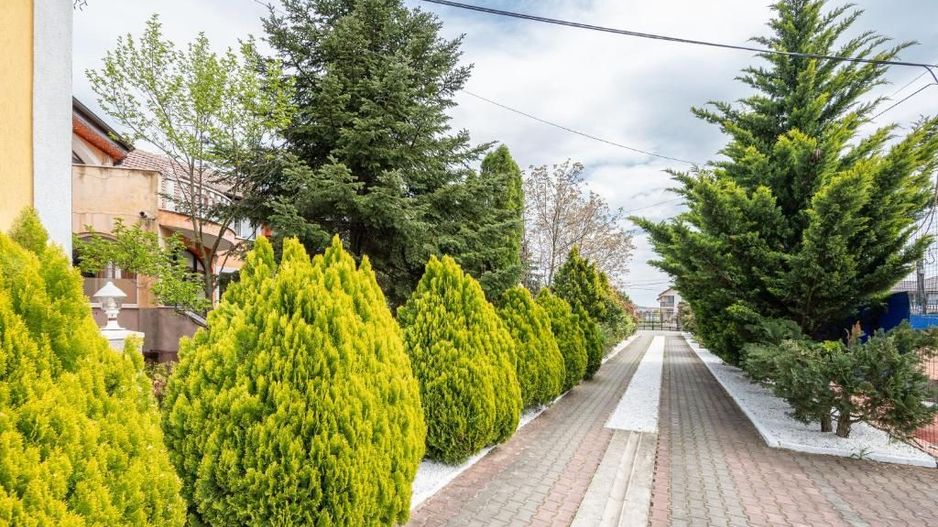 Complex turistic pe un domeniu de 5.375 mp | Sânmartin - Poză 2
