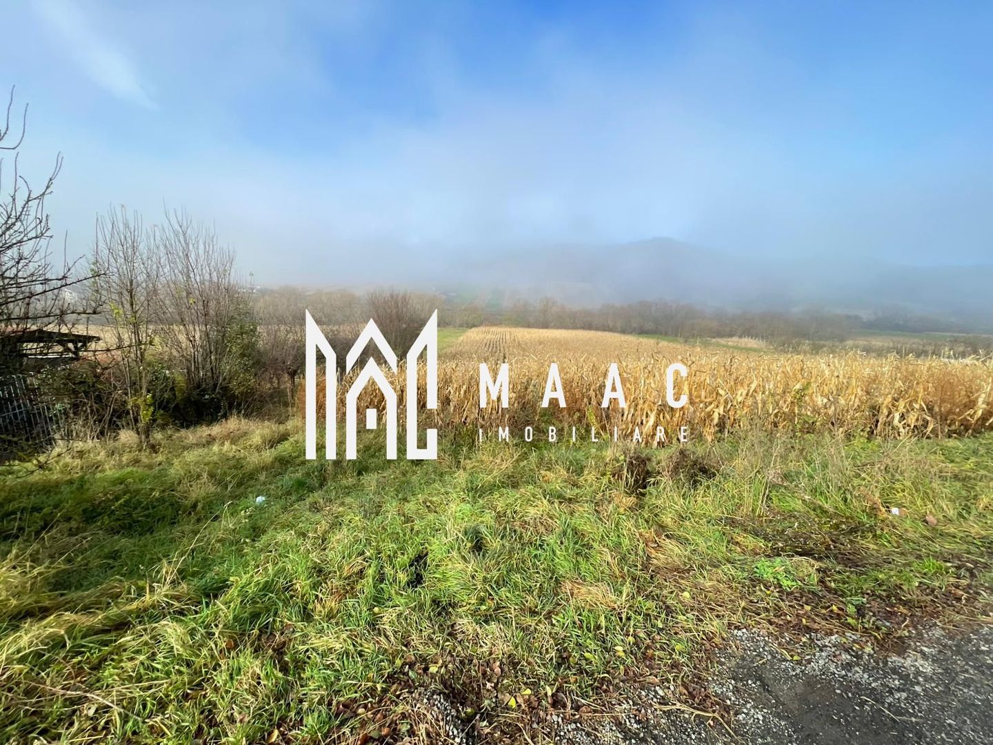 Teren 2.500 mp I Gușterița I PUZ I Aprobat I Ideal Dezvoltare - Poză 1