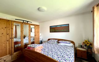 Ferma agricola, plantatii de mure, trandafiri, vita-de-vie - Poză 8