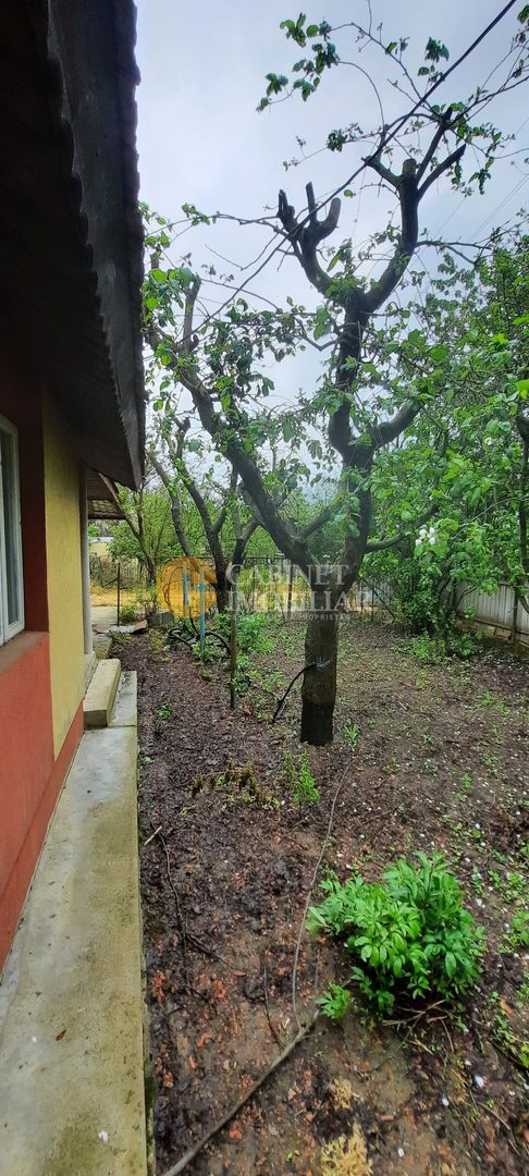 🏡 Casă cu livadă sat Prisăcani  - Teren 4500 mp - Poză 7
