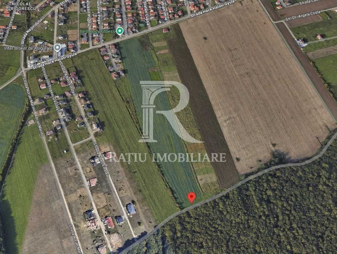 Teren de vanzare | Grigorescu | Oradea - Poză 2