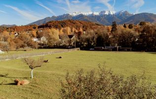 Teren Moieciu 8206 mp - Oportunitate de investitie