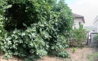 Casă solidă în Orșova, S+P+E, 220 mp, teren 284 mp - Poză 52
