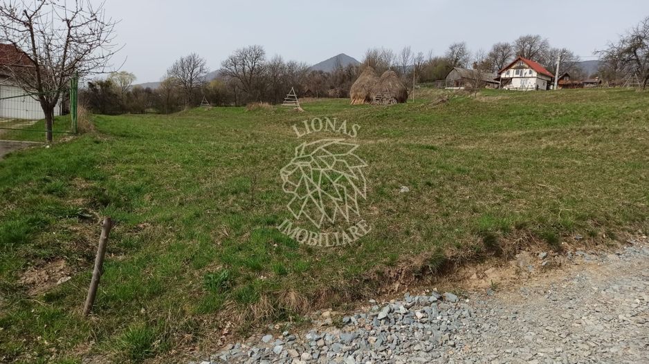 Teren Intravilan 3093 mp-ideal case/cabane/pensiune-Bistrita Bargaului - Poză 1