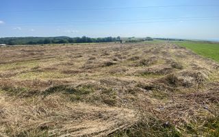 Teren Tarinca | 3400 MP | Front 24 Metri - Poză 2