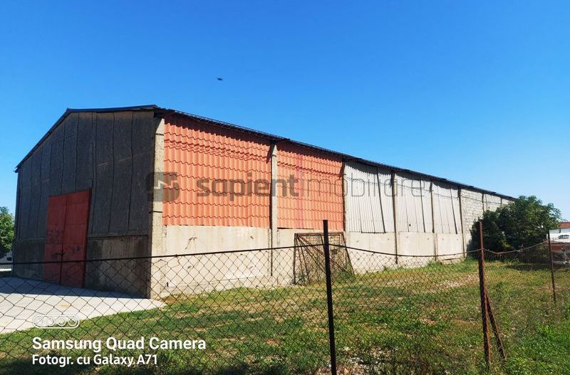 Hala ideala pentru depozitare str.Santaului - Poză 2