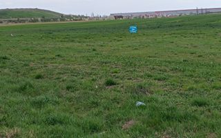Teren intravilan 35.000 mp – Șag - Poză 6