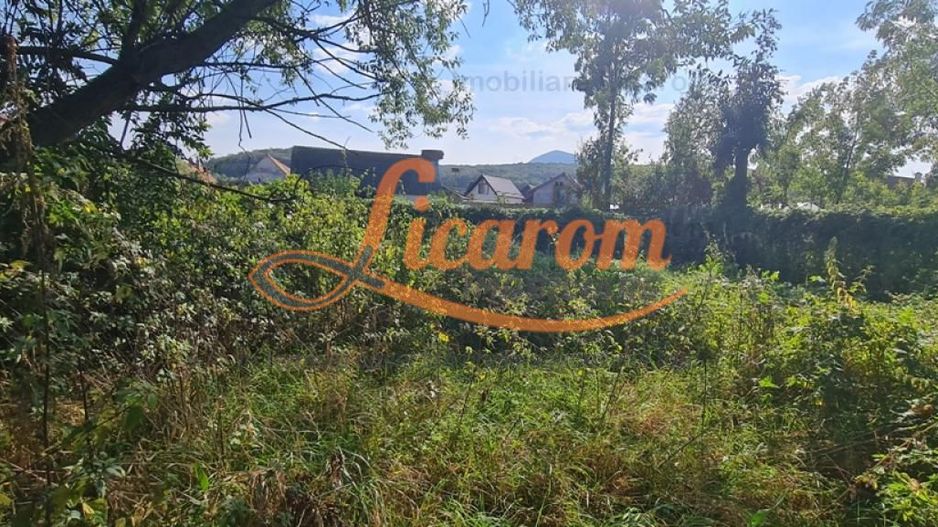 Casa individuala cu 3 camere,CODLEA - DUMBRAVITA ,65000 euro - Poză 8