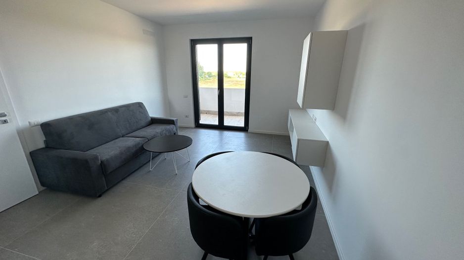 Apartament 1 camere Torontalului - Veterinary Faculty - Poză 4