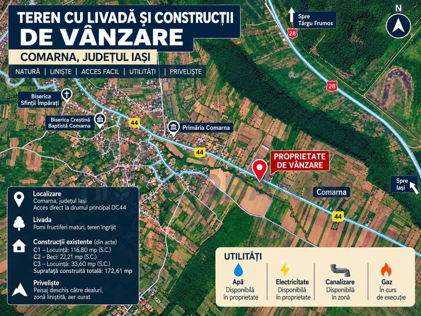 Proprietate de vânzare în comuna Comarna, județul Iași: teren intravilan și extravilan, livadă, vie și construcții existente - Poză 1