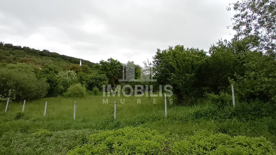 Teren intravilan | Budiu Mic | 994 mp - Poză 4