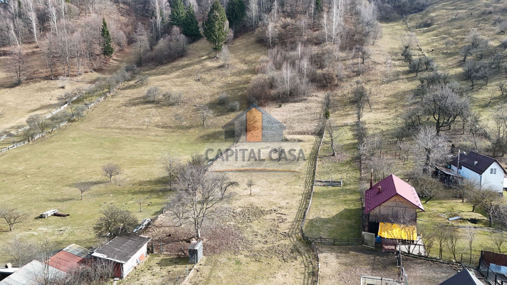 Teren de poveste pe coama muntelui – Vedere panoramică Piatra Craiului - Poză 4