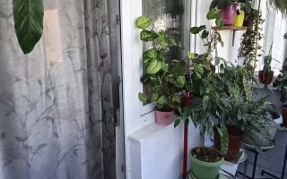 Etaj 2   Calea Aradului- Iulius Mall 2 camere - Poză 5