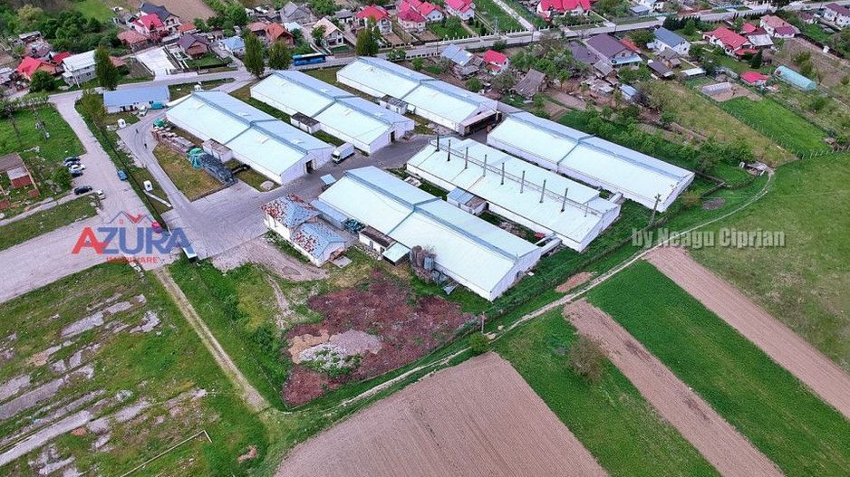 COMISION 0% - HALE Calinesti Arges - Poză 1