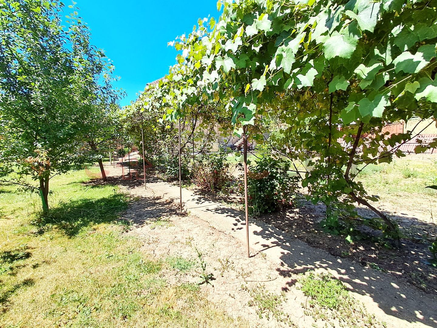 Casă individuală, grădină de vis, 1040mp, în Grigorescu!! - Poză 10