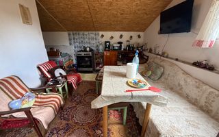 2 Case + teren 1390 mp langa parcul central Provita de Sus - Poză 16