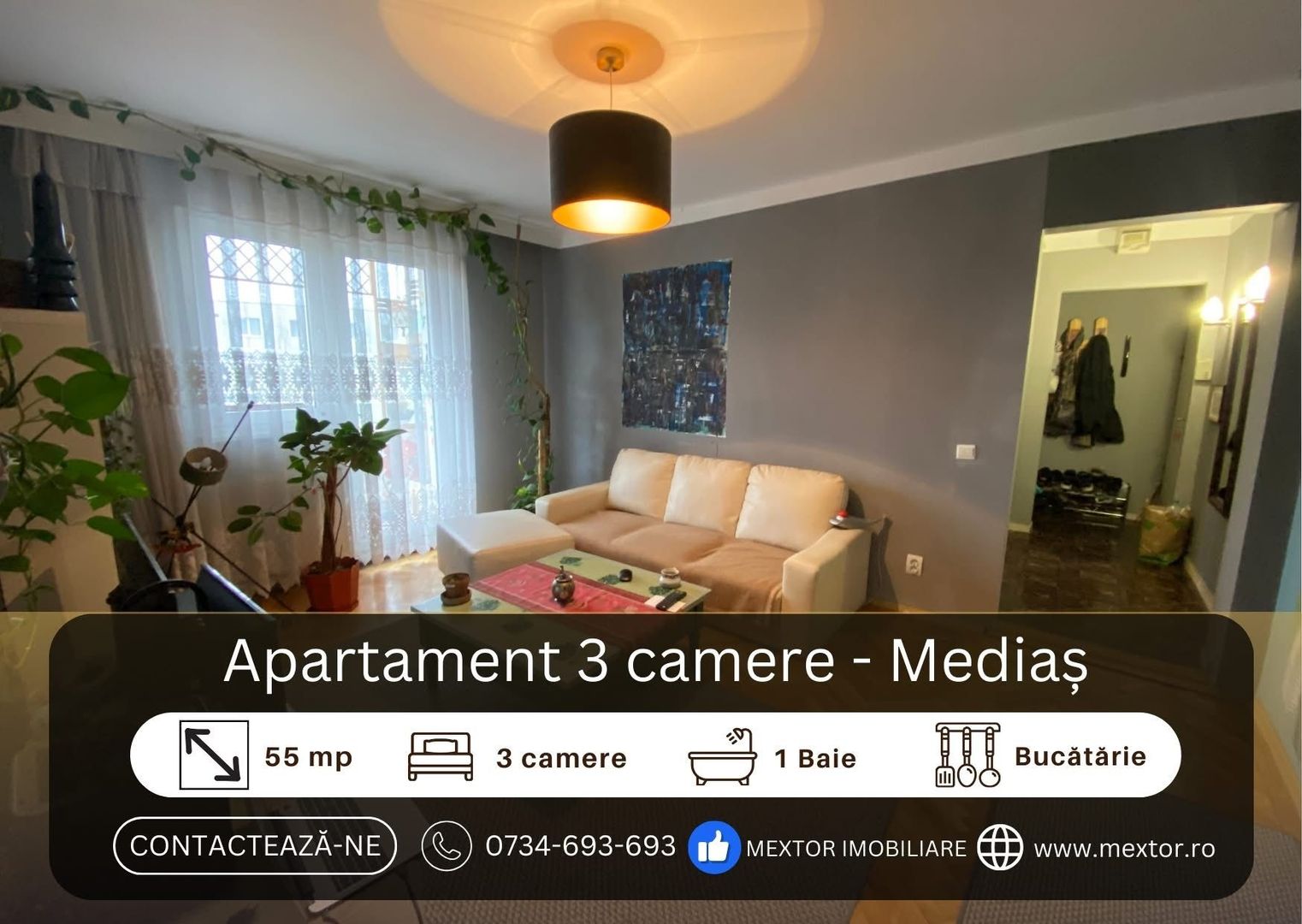 Apartament 3 camere, Medias - Poză 1