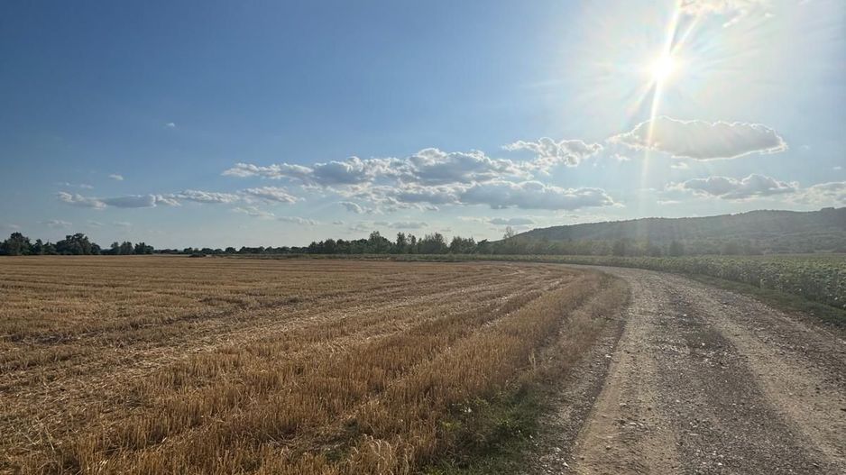 Parcele Teren intravilan Fughiu - Poză 6