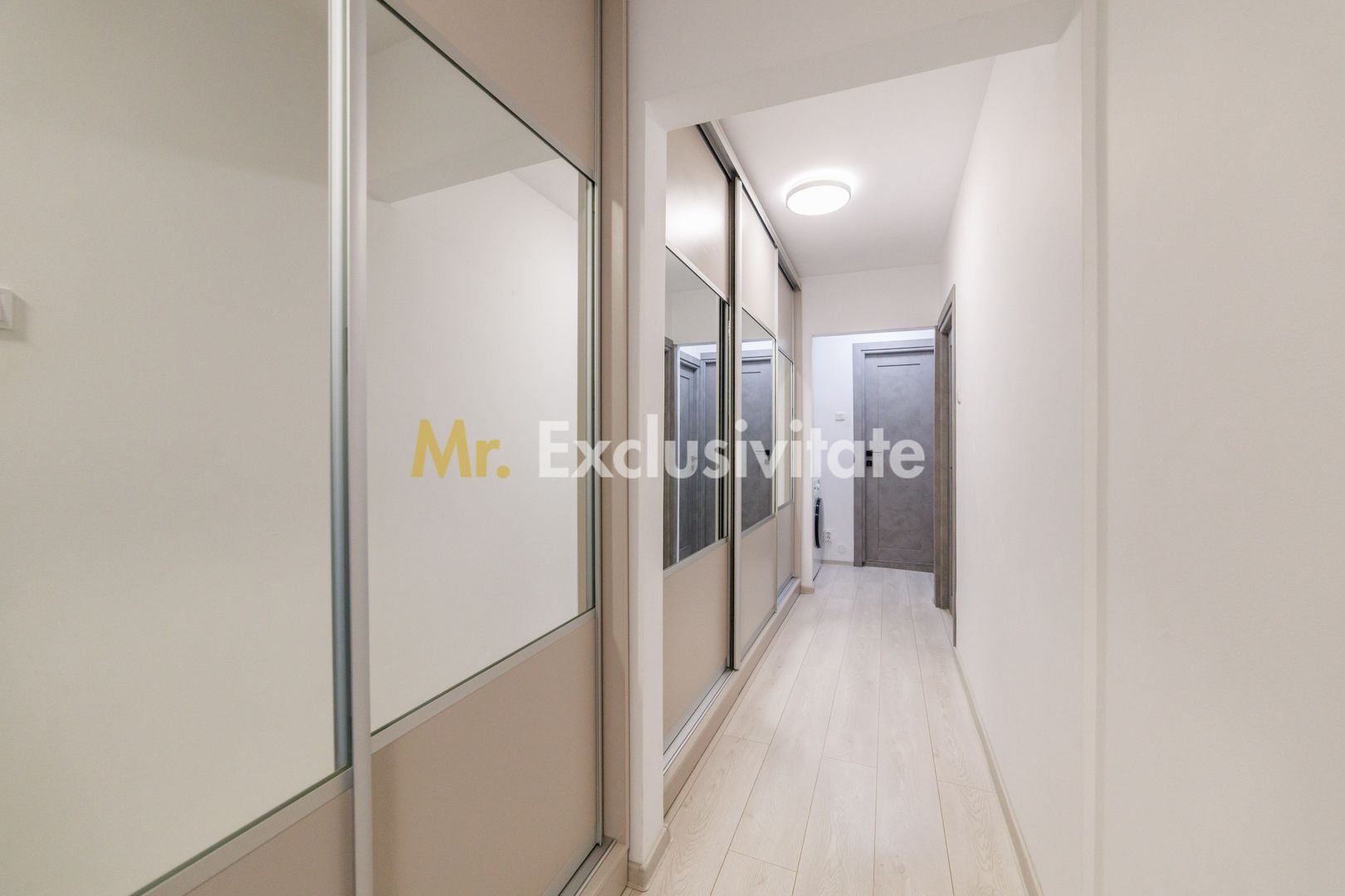 Apartament 3 camere, decomandat, Eremia Grigorescu - Poză 13