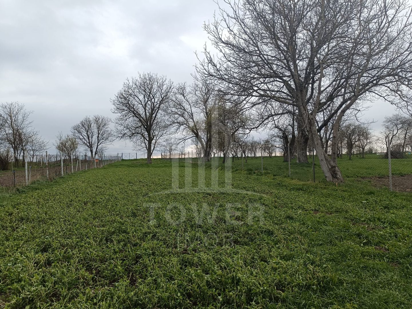 Casă de vânzare în satul Roșia cu vedere panoramică spre Munții Făgăras - Poză 3