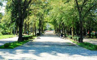 Exclusivitate. Apartament decomandat, Pacul Babes. - Poză 2