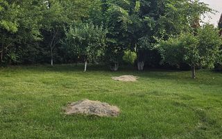 Vila 8 camere Dascalu - Poză 24