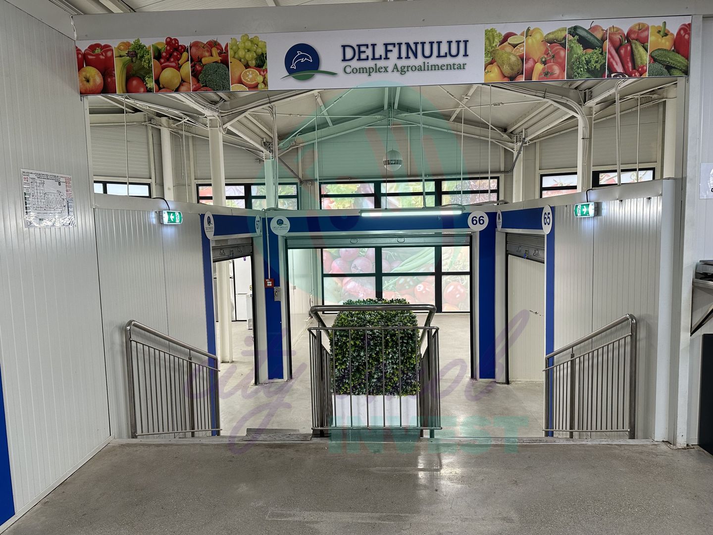 Spatii comerciale de inchiriat in PIATA DELFINULUI - Poză 3